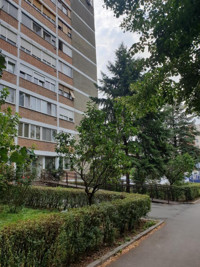 Exclusive * Belgrad