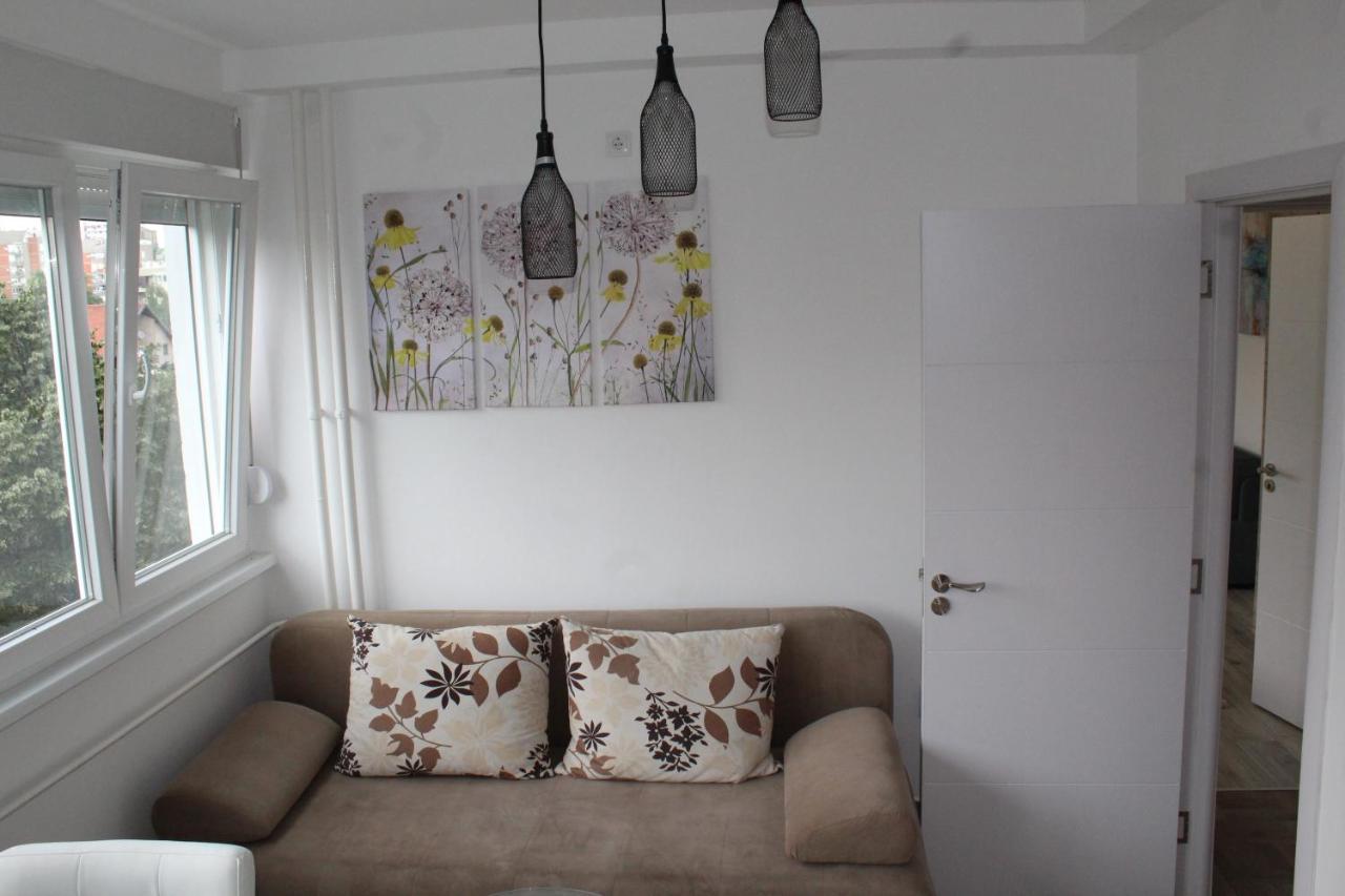Exclusive Apartment Belgrade